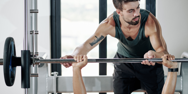 Image illustrative de la formation